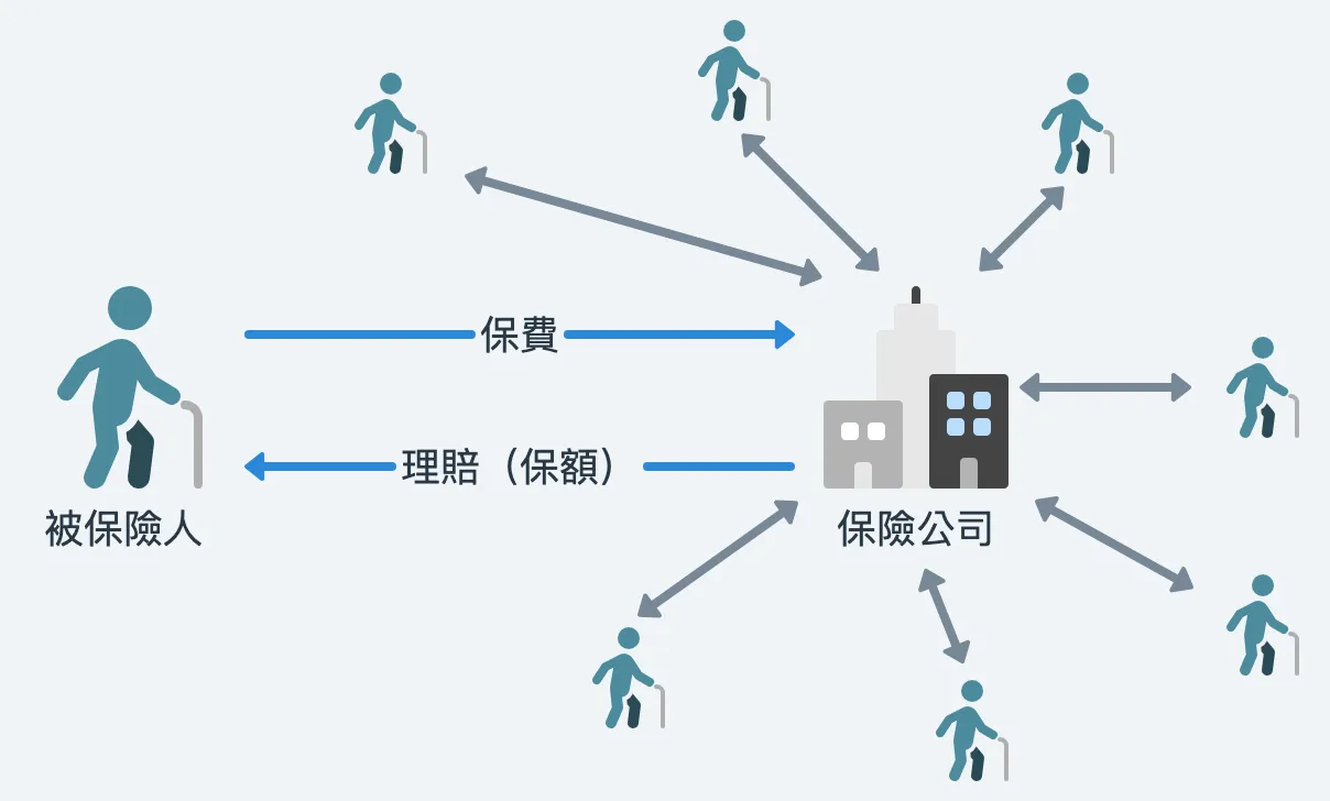 被保險人、保險公司及保費、保額